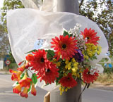 Flores por una víctima de tráfico