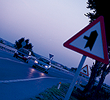 Medidas para gestionar las carreteras secundarias