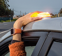 premios seguridad vial