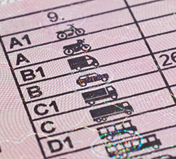 Carné provisional